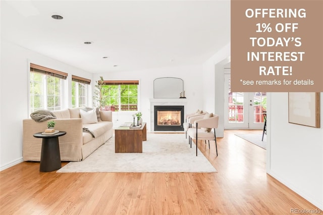 6535 Balsam St, Arvada, CO 80004 - living room featuring a glass covered fireplace and light wood-type flooring