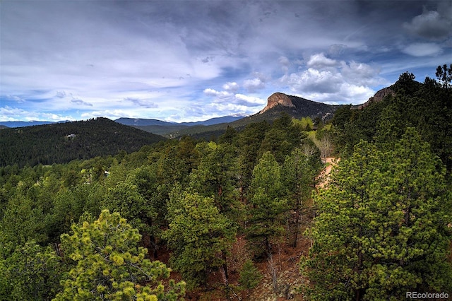 11669 S Upper Ranch Dr, Pine, CO 80470 - view of mountain backdrop featuring a forest