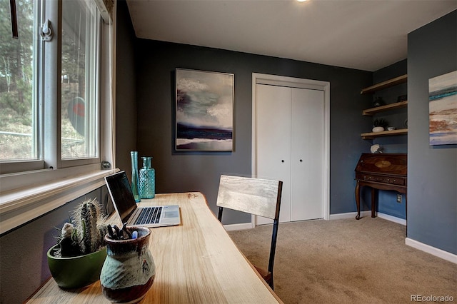 11669 S Upper Ranch Dr, Pine, CO 80470 - office area featuring carpet flooring and baseboards