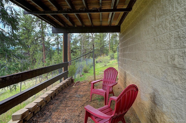 11669 S Upper Ranch Dr, Pine, CO 80470 - view of patio