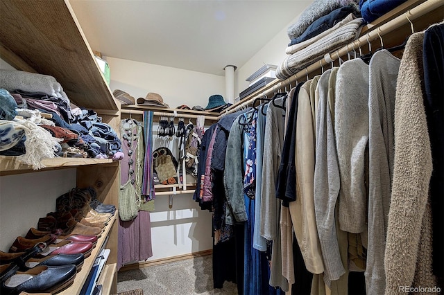 11669 S Upper Ranch Dr, Pine, CO 80470 - walk in closet with carpet flooring
