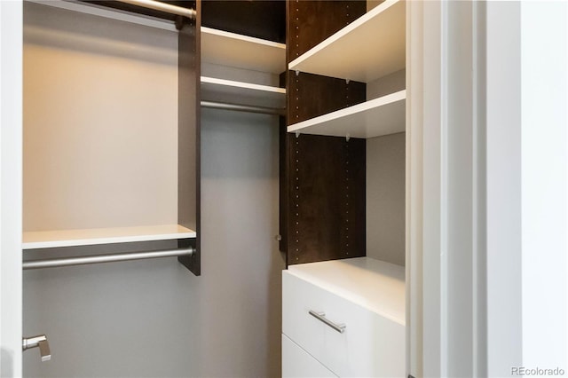 2409 Court Pl, Denver, CO 80205 - view of walk in closet