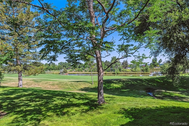 view of home's community with a yard and a water view