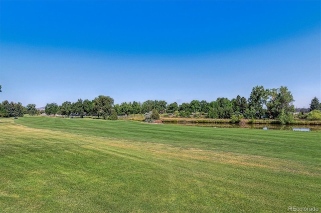 view of yard with a water view