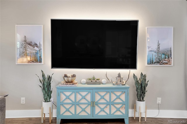 room details featuring hardwood / wood-style flooring