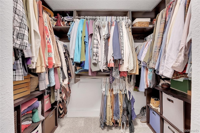 walk in closet with light carpet