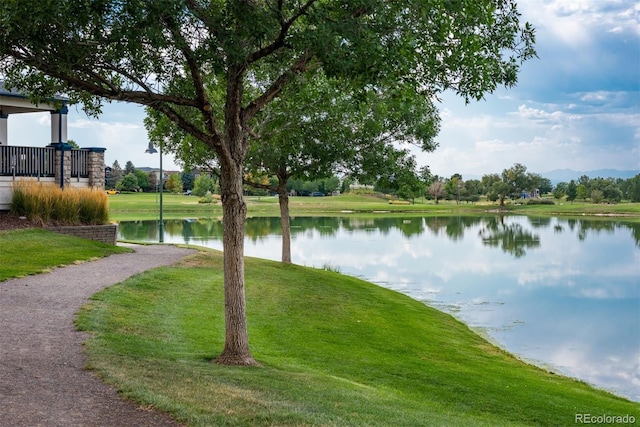 10925 Norfolk Ct, Commerce City, CO 80022 - photo 38