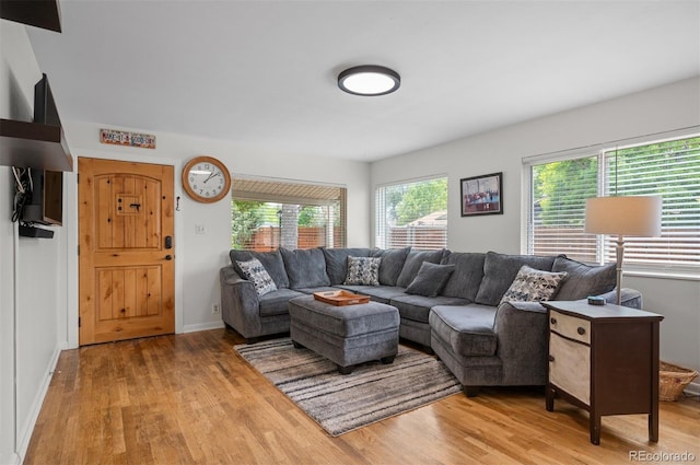 6031 S Pennsylvania St, Centennial, CO 80121 - living area with light wood-type flooring, healthy amount of natural light, and baseboards