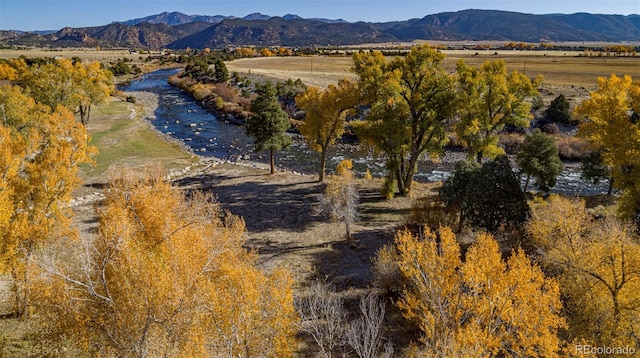 11033 Rivers Edge Ln, Salida, CO 81201