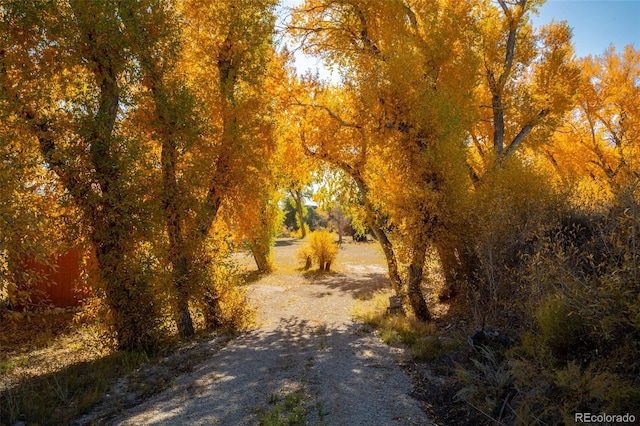 11033 Rivers Edge Ln, Salida, CO 81201