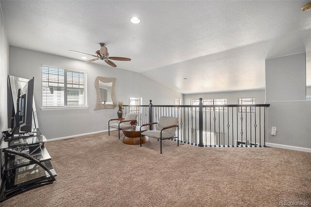 11712 Lewiston St, Commerce City, CO 80022 - photo 16