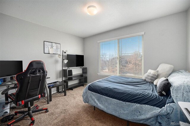 11712 Lewiston St, Commerce City, CO 80022 - photo 20