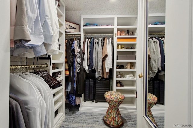 view of walk in closet