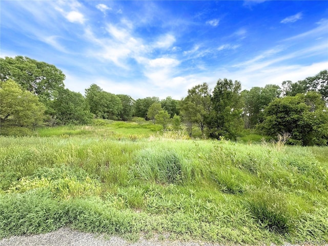 11395 E 116th Dr, Commerce City, CO 80640 - view of wooded area