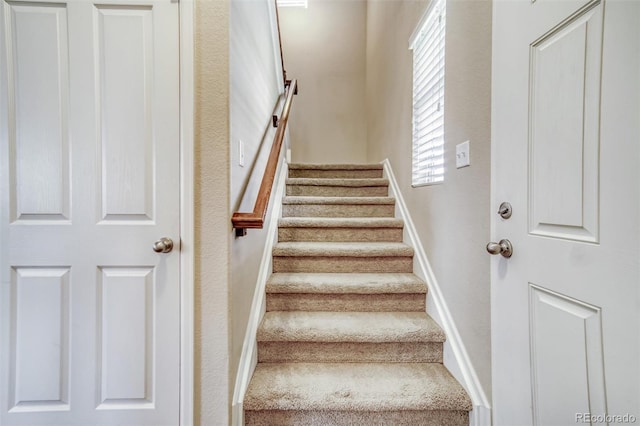 3810 Cadence Dr, Castle Rock, CO 80109 - photo 2