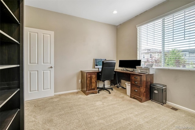 3810 Cadence Dr, Castle Rock, CO 80109 - photo 10