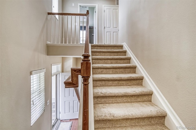 3810 Cadence Dr, Castle Rock, CO 80109 - photo 13