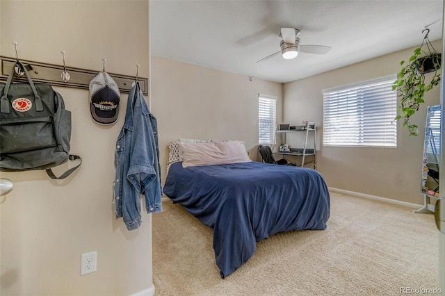 3810 Cadence Dr, Castle Rock, CO 80109 - photo 24