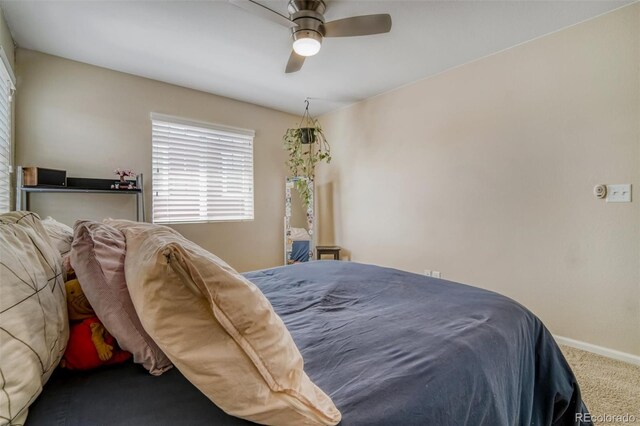 3810 Cadence Dr, Castle Rock, CO 80109 - photo 26