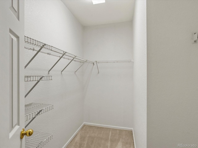 spacious closet with carpet floors
