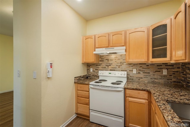 kitchen featuring light brown cabinetry, glass insert cabinets, under cabinet range hood, white electric range, and tasteful backsplash