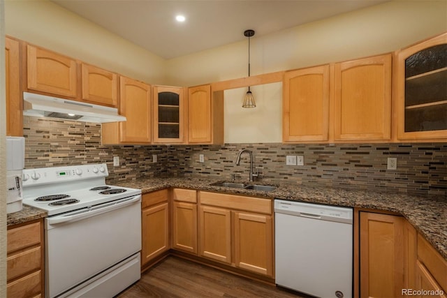 2896 W Riverwalk Cir Unit 204, Littleton, CO 80123 - kitchen featuring white appliances, under cabinet range hood, light brown cabinetry, dark wood-type flooring, and tasteful backsplash