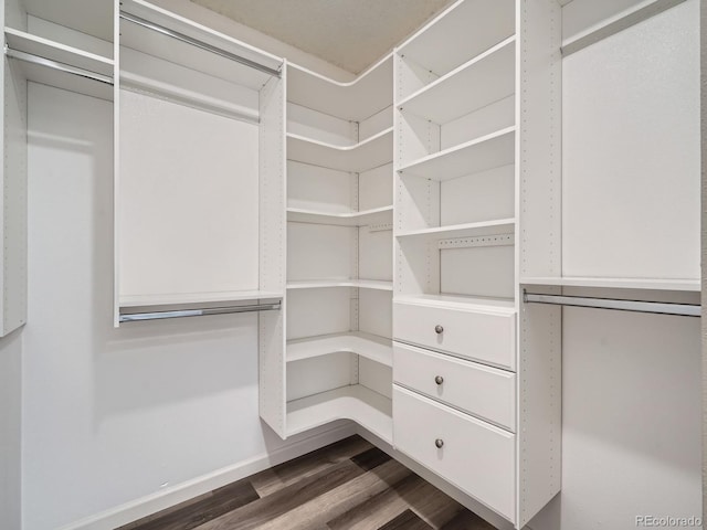 spacious closet featuring dark hardwood / wood-style flooring