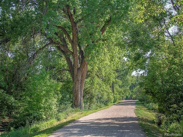 view of street