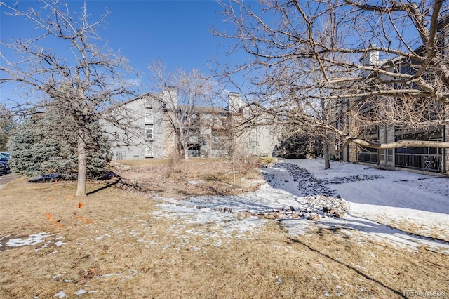 view of snowy yard