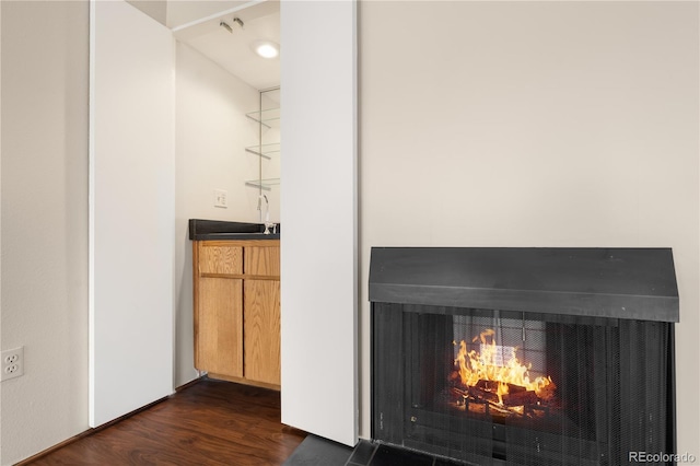 details featuring wood-type flooring and sink