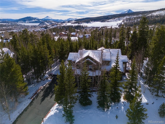 308 Red Hawk Cir, Silverthorne, CO 80498 - photo 1