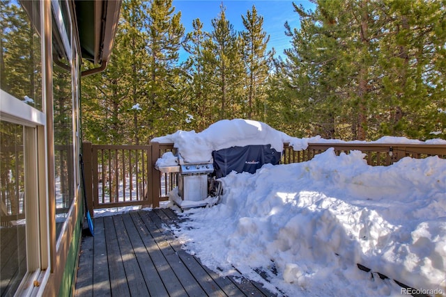308 Red Hawk Cir, Silverthorne, CO 80498 - photo 14