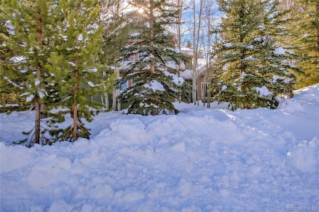 308 Red Hawk Cir, Silverthorne, CO 80498 - photo 43