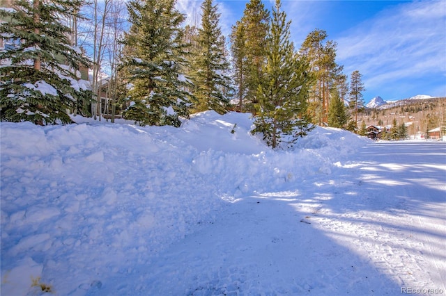 308 Red Hawk Cir, Silverthorne, CO 80498 - photo 44