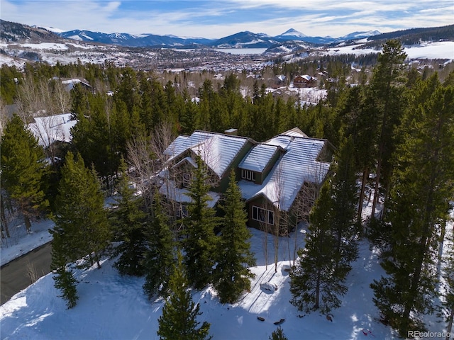 308 Red Hawk Cir, Silverthorne, CO 80498 - photo 45