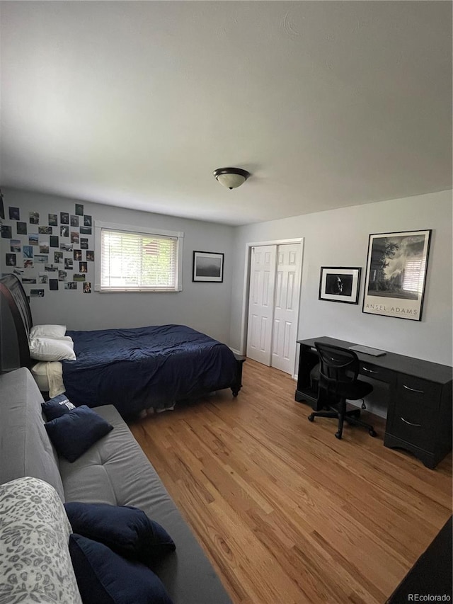 12285 W 34th Pl, Wheat Ridge, CO 80033 - photo 12