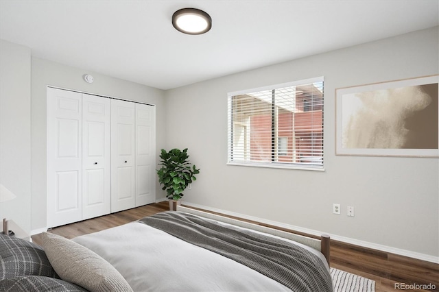 bedroom featuring a closet and dark hardwood / wood-style floors