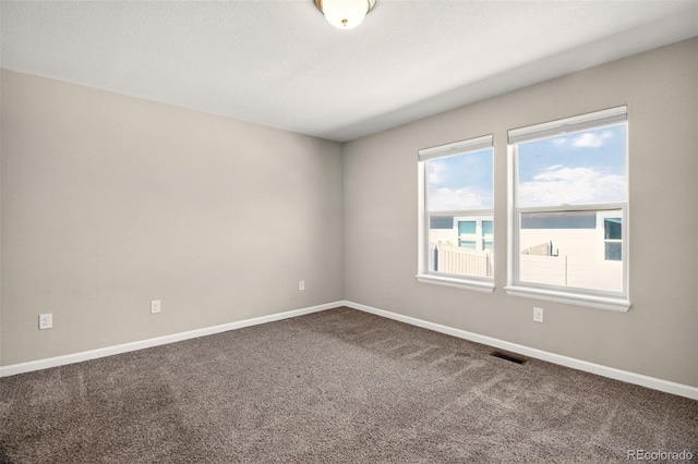 11278 Cold Creek Vw, Colorado Springs, CO 80921 - photo 13