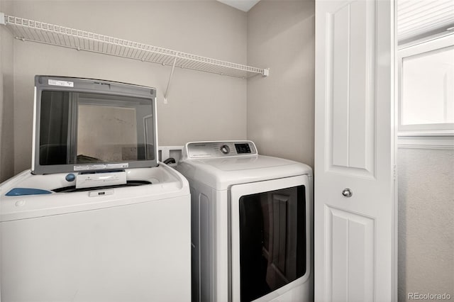 11278 Cold Creek Vw, Colorado Springs, CO 80921 - photo 17