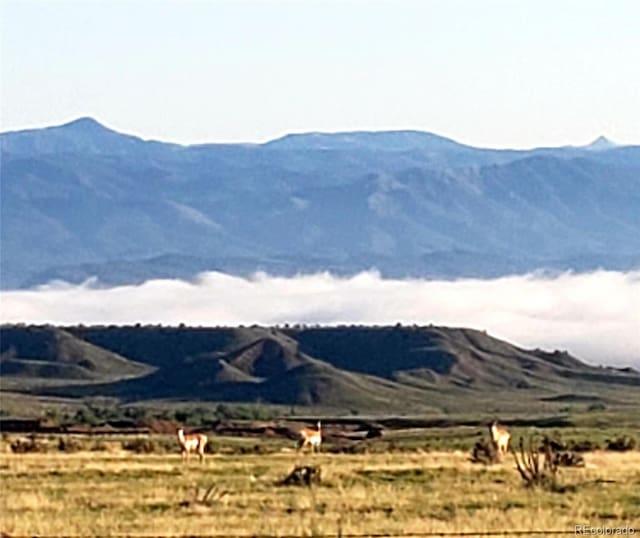 County Road 19, Florence, CO 81226 - photo 1