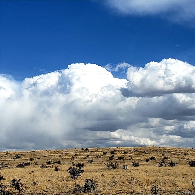 County Road 19, Florence, CO 81226 - photo 4
