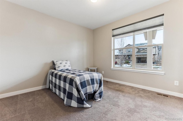 8099 Arapahoe Peak St, Littleton, CO 80125 - photo 20