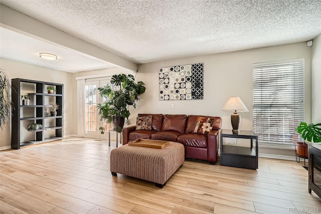 living room featuring wood finished floors, baseboards, and a textured ceiling