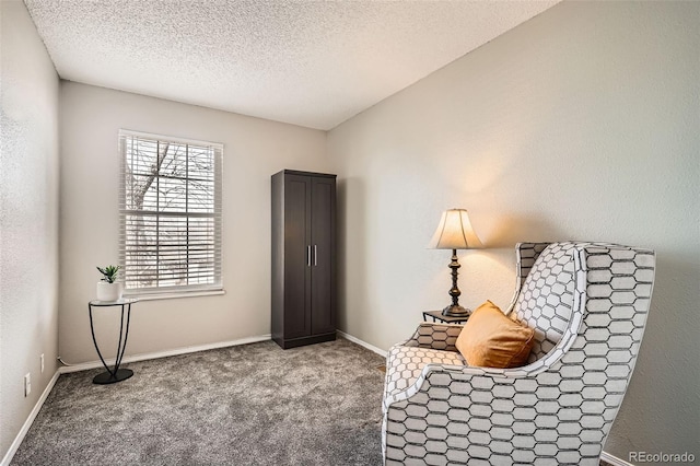 living area with carpet, baseboards, a textured wall, and a textured ceiling