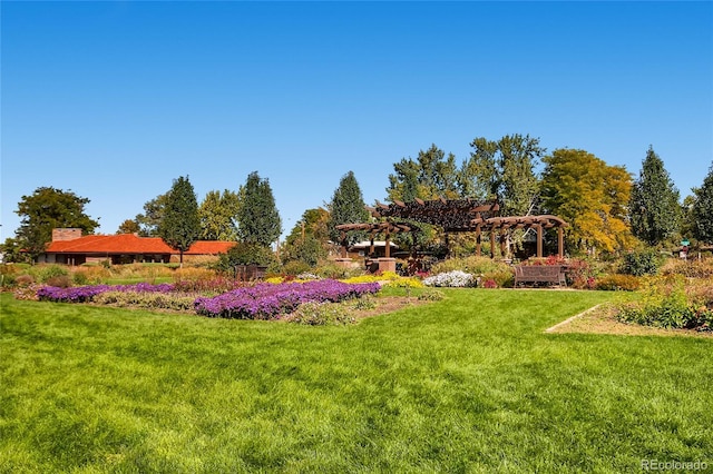 view of yard featuring a pergola