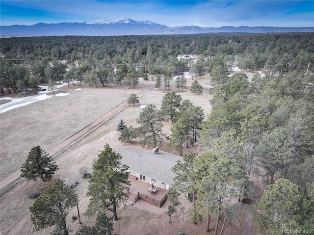 birds eye view of property featuring a mountain view