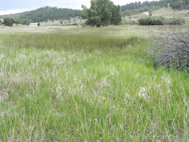 6 Kiva Path, Lake George, CO 80827 - photo 1