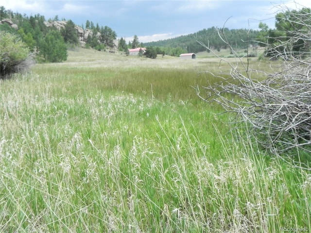 6 Kiva Path, Lake George, CO 80827 - photo 2