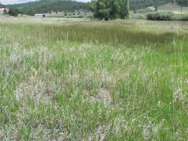 6 Kiva Path, Lake George, CO 80827 - photo 3