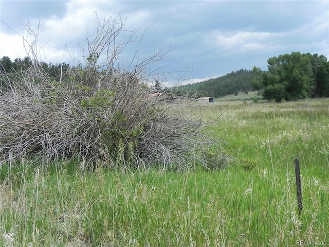 6 Kiva Path, Lake George, CO 80827 - photo 4